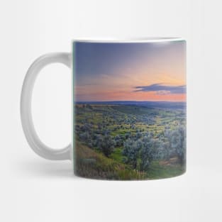 Panoramic summer sunset Mug